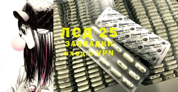 прущие грибы Абаза