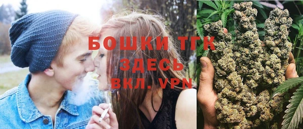 прущие грибы Абаза