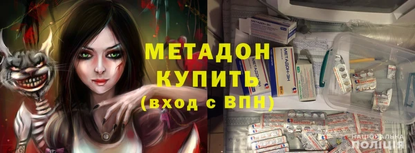 прущие грибы Абаза