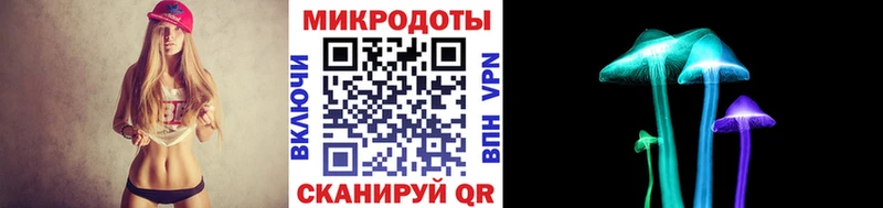 KRAKEN   Тогучин  Галлюциногенные грибы мицелий 